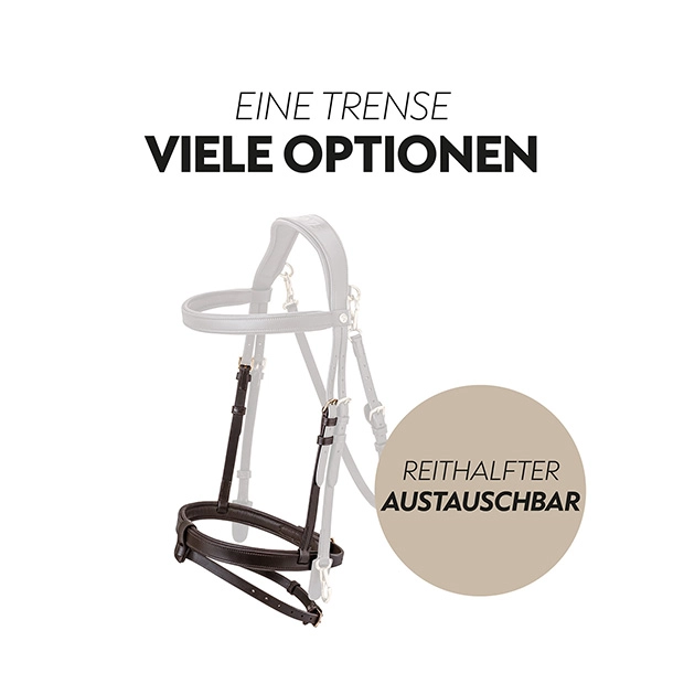 English combined bridle "Berlin" with reins