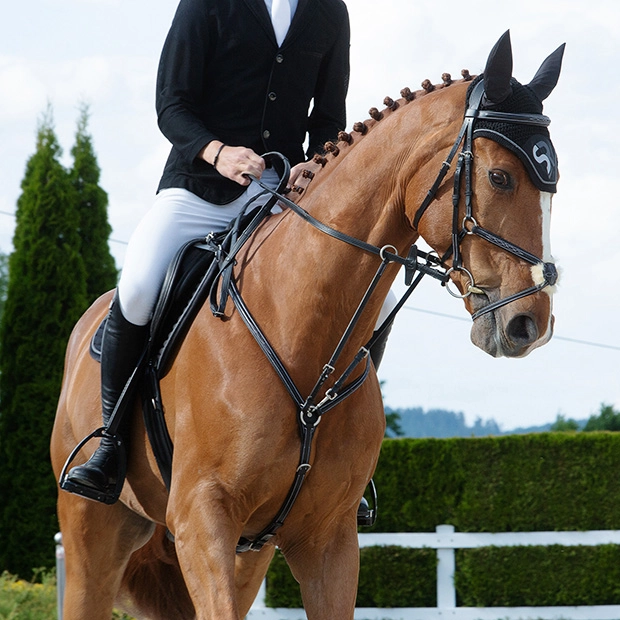 Vorderzeug "Windsor" mit Martingal