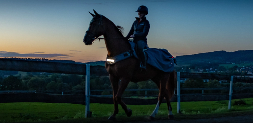 Ein Pferd und Reiter mit der New York LED Ausreitdecke in der Daemmerung