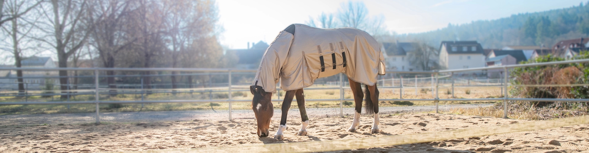 Ein Pferd steht auf dem Paddock mit der Kuba Fliegendecke
