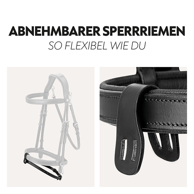 English combined bridle "Berlin" with reins