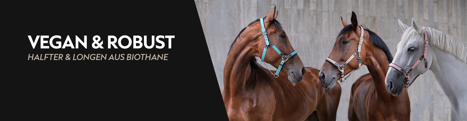 Three horses stand side by side in front of a grey wall wearing Biothane halters in blue grey and pink next to the text it says Vegan and Robust Halters and Lunge Lines made of Biothane