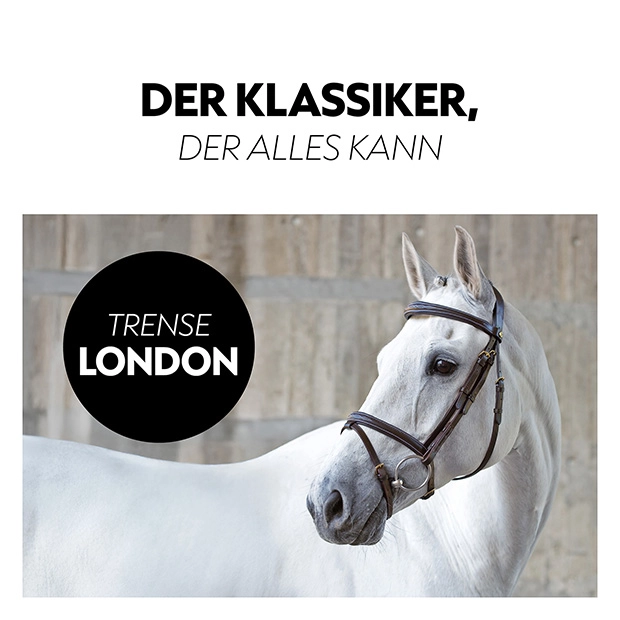 Englisch kombinierte Trense "London" mit Zügel