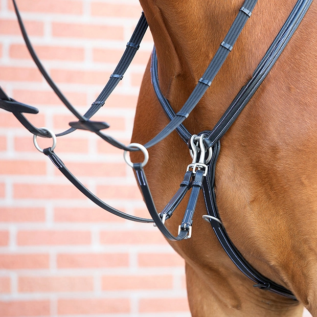 vorderzeug mit martingal windsor aus schwarzem leder von sunride am pferd