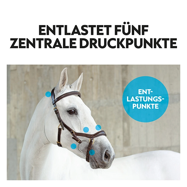 Englisch kombinierte Trense "York" mit Zügel