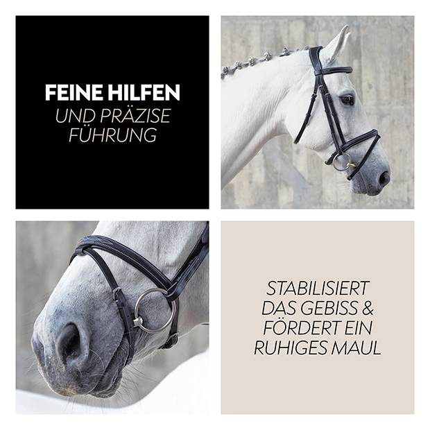 Englisch kombinierte Trense "London" mit Zügel