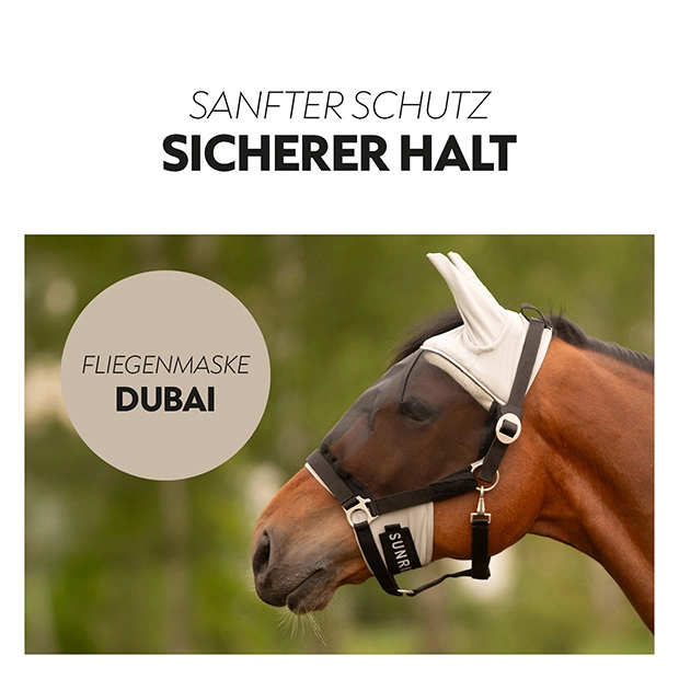 Fly mask with halter "Dubai"