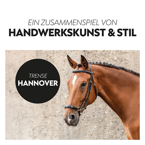 Hanoverian bridle "Hannover" with reins