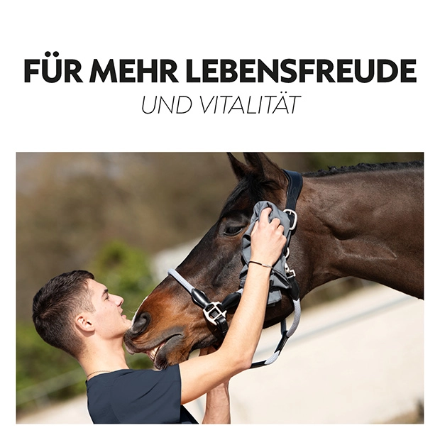 3in1 Cooling Rug "Cool Down”