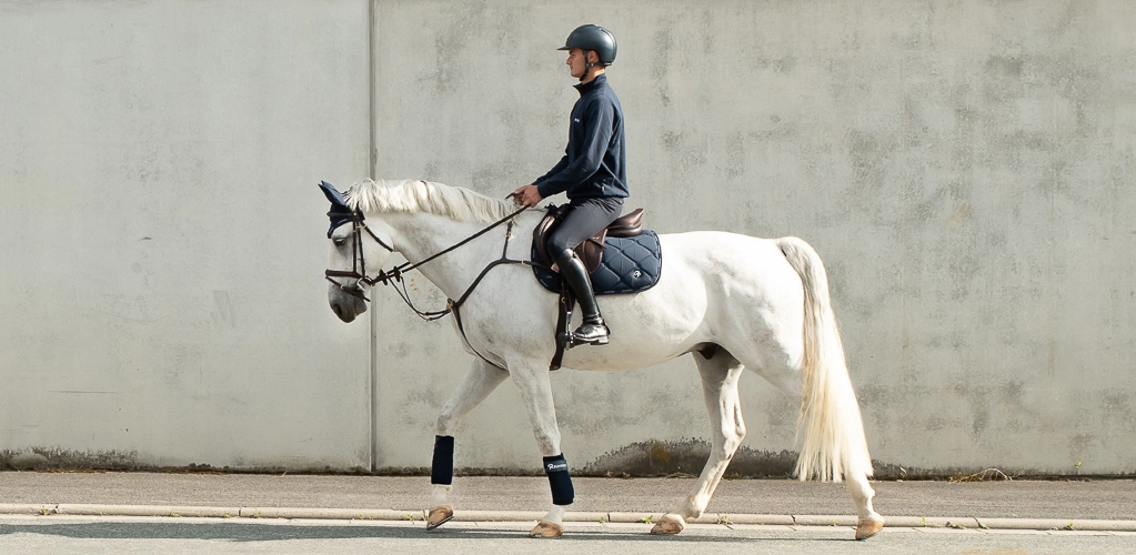 Ein Reiter sitzt auf einem weißen Pferd mit blauer Schabracke, passender Abschwitzdecke und Fliegenohren und reitet an einer hellen Betonwand entlang