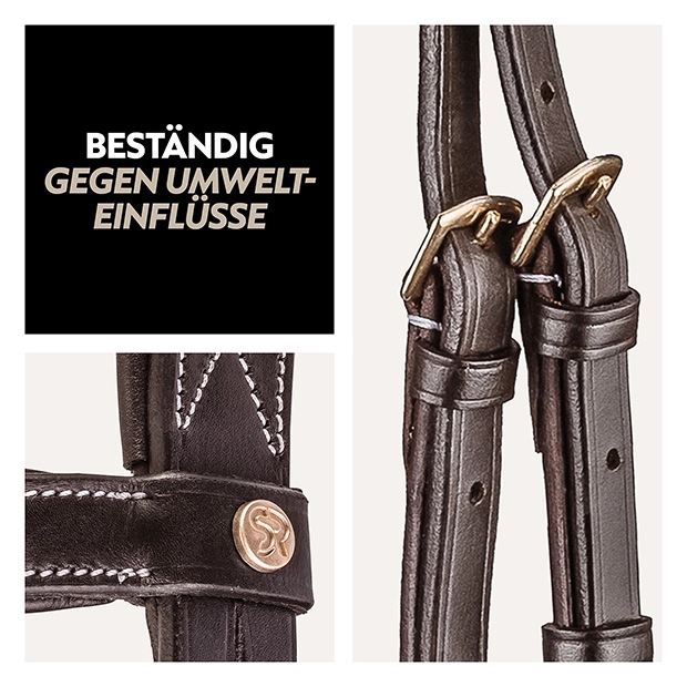 Englisch kombinierte Trense "London" mit Zügel