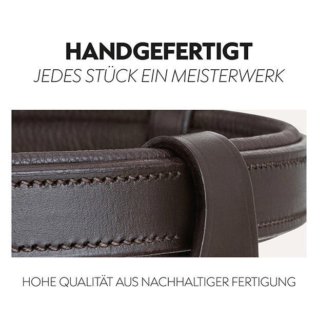 English combined bridle "Berlin" with reins