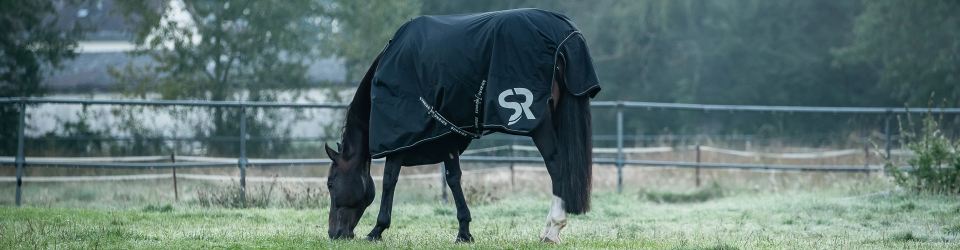 Ein Pferd steht bei kälte auf der Koppel und es trägt die Regendecke Dublin
