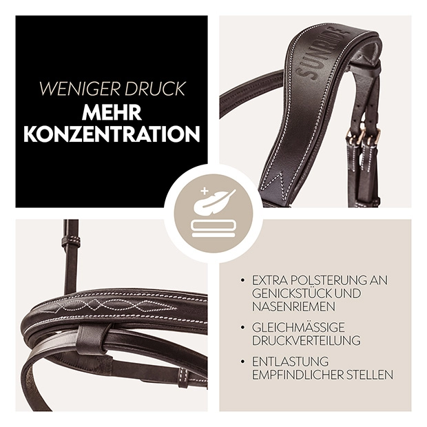 Englisch kombinierte Trense "London" mit Zügel