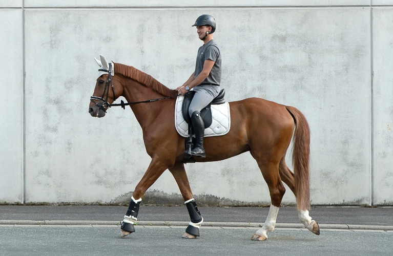 Ein Reiter sitzt auf einem Pferd mit einer weißen Dressurschabracke und reitet an einer grauen Betonwand entlang