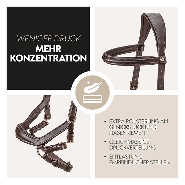 Englisch kombinierte Trense "York" mit Zügel