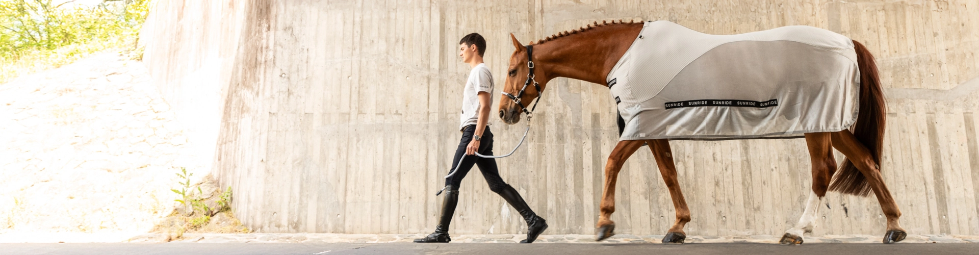 Ein Reiter führt ein Pferd an der Hand Das Pferd trägt eine Sommerdecke von Sunride in hellgrau