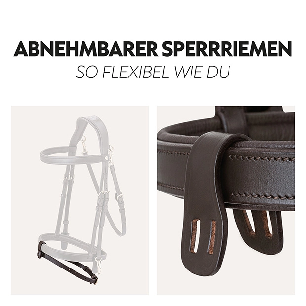 English combined bridle "Berlin" with reins