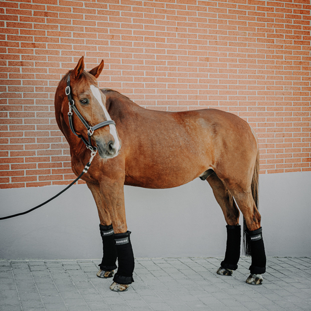 schwarze stallbandagen mit reflektierendem sunride schriftzug im vierer set am pferd mit unterlagen