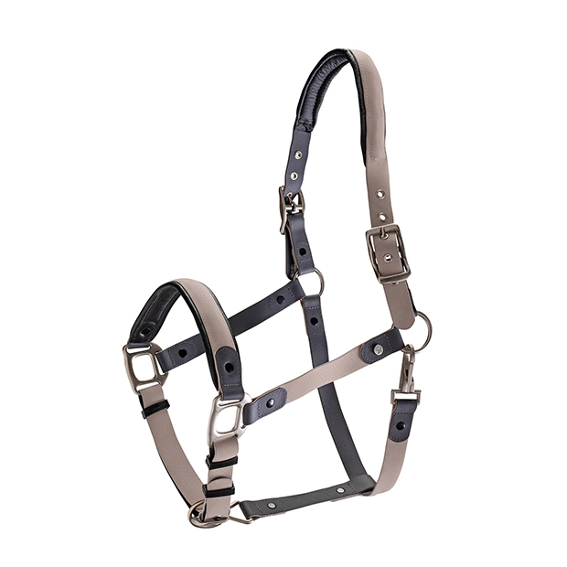 Biothane Halfter mit Strick