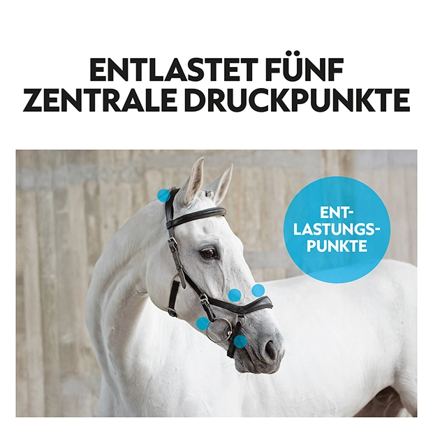 Englisch kombinierte Trense "York" mit Zügel