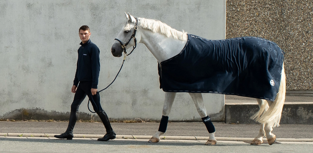 Ein Pferd mit SUNRIDE  Fleece Abschwitzdecke in Blau vor einer grauen Wand