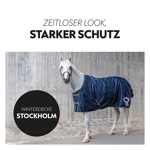 Winterdecke 100g "Stockholm" (1200D)