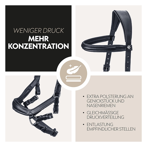 Englisch kombinierte Trense "York" mit Zügel