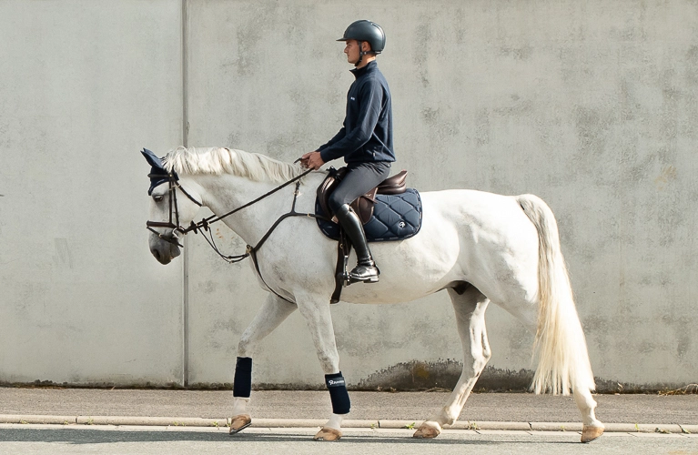 Ein Reiter sitzt auf einem weißen Pferd mit blauer Schabracke, passender Abschwitzdecke und Fliegenohren und reitet an einer hellen Betonwand entlang