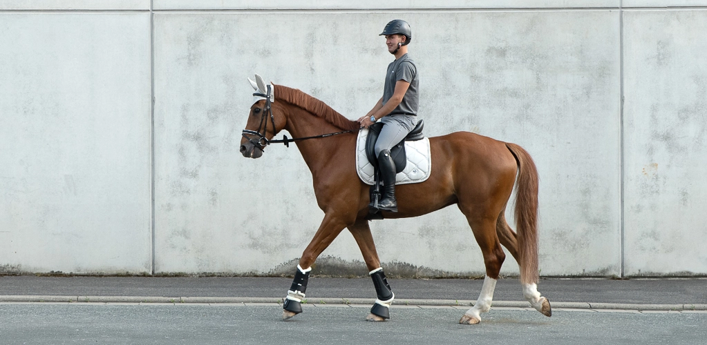 Ein Reiter sitzt auf einem Pferd mit einer weißen Dressurschabracke und reitet an einer grauen Betonwand entlang